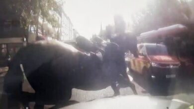 Λονδίνο:-«Δραπέτευσαν»-ξανά-άλογα-του-Ιππικού-στο-κέντρο-της-πόλης