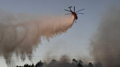 Φωτιά-στη-Λάρισα-στην-περιοχή-Αμυγδαλιά:-Σηκώθηκαν-2-ελικόπτερα