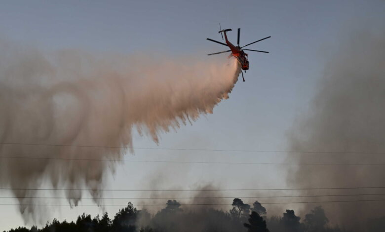 Φωτιά-στη-Λάρισα-στην-περιοχή-Αμυγδαλιά:-Σηκώθηκαν-2-ελικόπτερα
