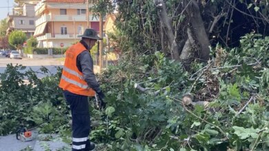 Νέες-παρεμβάσεις-«πράσινου»-ευπρεπισμού-σε-δύο-γειτονιές-από-τον-Δήμο-Τρικκαίων