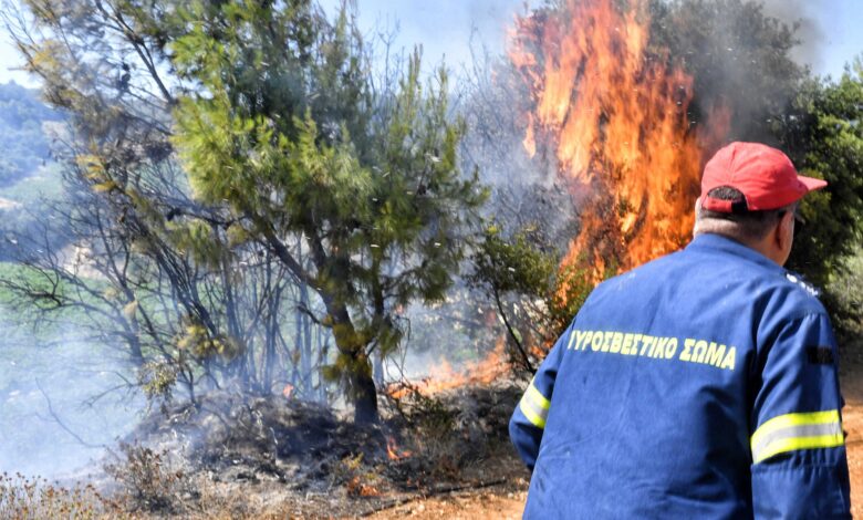 Φωτιά-στον-δήμο-Μύκης-στην-Ξάνθη:-Σηκώθηκαν-εναέρια-μέσα