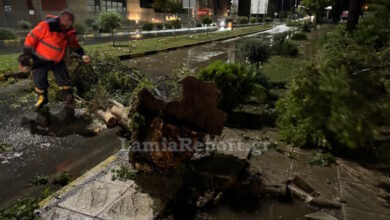 Μπουρίνι-έριξε-δέντρα-στη-Λαμία-–-«Κόπηκε»-το-ρεύμα-και-έσβησαν-τα-φανάρια-της-πόλης