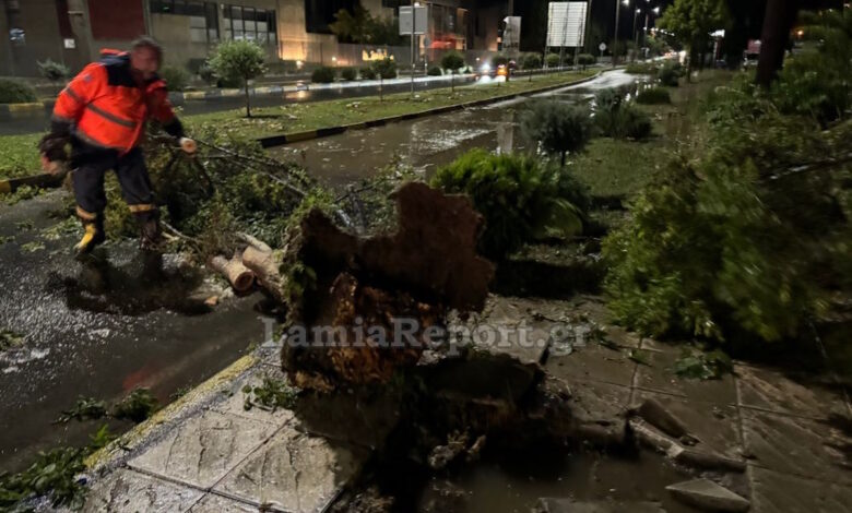 Μπουρίνι-έριξε-δέντρα-στη-Λαμία-–-«Κόπηκε»-το-ρεύμα-και-έσβησαν-τα-φανάρια-της-πόλης