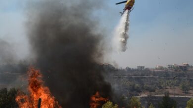 Φωτιά-στην-περιοχή-Φιλοθέη-Θεσσαλονίκης:-Μεγάλη-πυροσβεστική-δύναμη-στο-σημείο