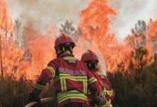 Πυρκαγιές-στην-Πορτογαλία:-7-νεκροί-και-1000.000-στρέμματα-στάχτη-Ημέρα-πένθους