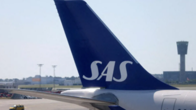 Αναστάτωση-σε-πτήση-της-scandinavian-airlines:-Ποντίκι-πετάχτηκε-μέσα-από-γεύμα-επιβάτη