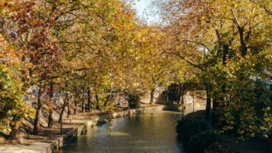 Περίπατος-στον-Ληθαίο-για-την-Ημέρα-Χωρίς-Αυτοκίνητο