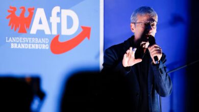 Γερμανία:-Το-afd-βρίσκεται-σε-τροχιά-για-άλλη-μια-νίκη-στις-πολιτειακές-εκλογές