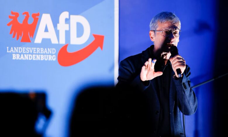 Γερμανία:-Το-afd-βρίσκεται-σε-τροχιά-για-άλλη-μια-νίκη-στις-πολιτειακές-εκλογές