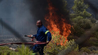 Χειροπέδες-σε-27χρονο-που-έβαλε-επίτηδες-φωτιά-σε-οικόπεδο-στην-Ηλεία