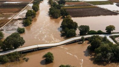 ΕΛΓΑ:-21,7-εκατ.-ευρώ-για-τις-καταστροφές-από-τις-κακοκαιρίες-“daniel”-και-“elias”