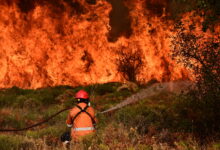 Πυροσβεστική-Υπηρεσία:-40-φωτιές-το-τελευταίο-24ωρο-σε-όλη-τη-χώρα