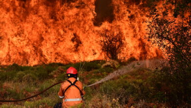 Πυροσβεστική-Υπηρεσία:-40-φωτιές-το-τελευταίο-24ωρο-σε-όλη-τη-χώρα