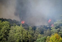 Καλύτερη-η-εικόνα-της-φωτιάς-στο-Γεράκι-Αμαλιάδας-–-Η-βροχή-βοηθά-το-έργο-κατάσβεσης