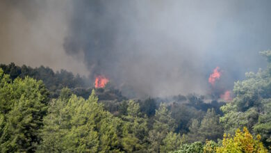 Καλύτερη-η-εικόνα-της-φωτιάς-στο-Γεράκι-Αμαλιάδας-–-Η-βροχή-βοηθά-το-έργο-κατάσβεσης