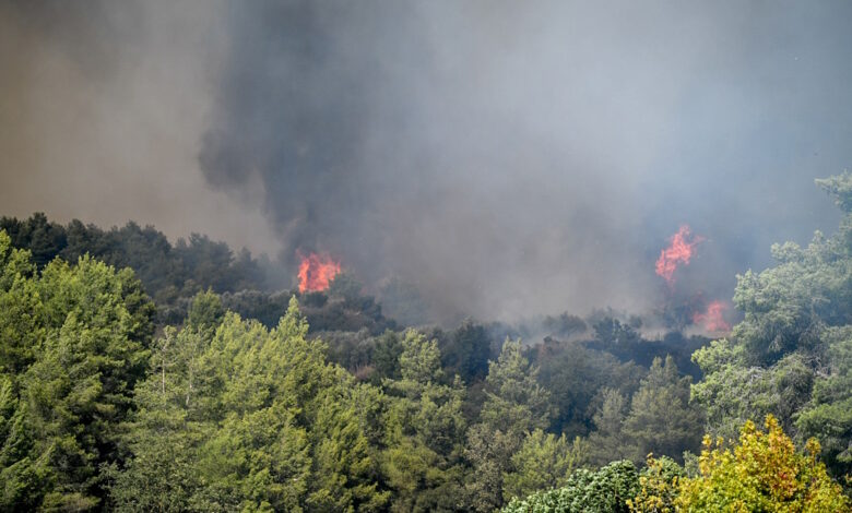 Καλύτερη-η-εικόνα-της-φωτιάς-στο-Γεράκι-Αμαλιάδας-–-Η-βροχή-βοηθά-το-έργο-κατάσβεσης