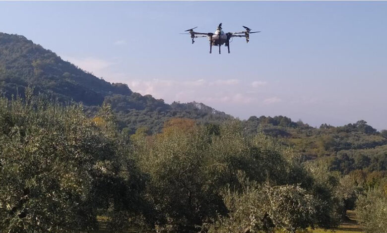 mε-drones-οι-ψεκασμοί-κατά-του-δάκου-–-Πιλοτικό-πρόγραμμα-στη-Θεσσαλία