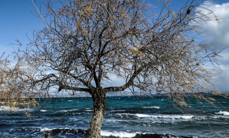 Καιρός-σήμερα:-Φθινοπωρινό-σκηνικό-με-ισχυρούς-ανέμους