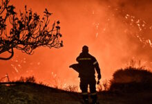 Καίει-για-3η-ημέρα-σε-δυσπρόσιτα-σημεία-η-φωτιά-που-ξέσπασε-στο-Παγγαίο-Όρος-–-Στη-μάχη-285-δασοκομάντος