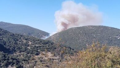 Φωτιά-στην-Αχαΐα-–-Ρίψεις-νερού-από-2-αεροσκάφη