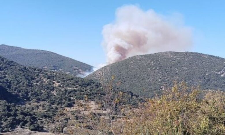 Φωτιά-στην-Αχαΐα-–-Ρίψεις-νερού-από-2-αεροσκάφη