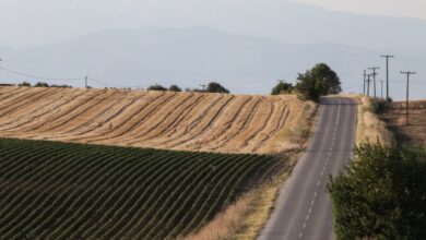 ΟΠΕΚΕΠΕ:-Διαθέσιμη-η-προκαταβολή-της-βασικής-ενίσχυσης