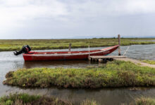 thessaly-evros-pass:-Αυξάνονται-έως-τα-220-ευρώ-τα-ποσά-των-άυλων-ψηφιακών-χρεωστικών-καρτών