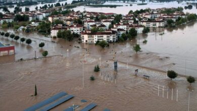 Τριαντόπουλος:-17000-επιχειρήσεις-και-αγρότες-έλαβαν-προκαταβολή-κρατικής-αρωγής-158-εκατ.-ευρώ