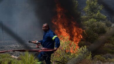 Φωτιά-στην-Τανάγρα-Βοιωτίας:-Ρίψεις-νερού-από-τρία-αεροσκάφη-και-ένα-ελικόπτερο