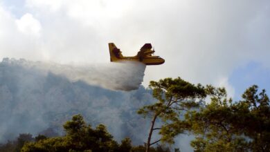 Μαίνεται-η-φωτιά-στην-Αχαΐα:-Μάχη-να-μην-περάσουν-οι-φλόγες-στο-προστατευόμενο-δάσος-της-Στροφυλιάς