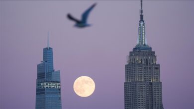 Το-φεγγάρι-του-κάστορα-και-η-βροχή-μετεωριτών-θα-φωτίσουν-τον-ουρανό-του-Σαββατοκύριακου