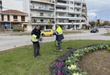 Ολοκληρώνεται-ο-χριστουγεννιάτικος-φωτισμός-των-Τρικάλων