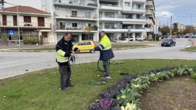 Ολοκληρώνεται-ο-χριστουγεννιάτικος-φωτισμός-των-Τρικάλων