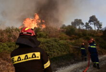 Δύο-συλλήψεις-για-εμπρησμό-σε-δάσος-στην-περιοχή-Σέσι-–-Ζερβέσια-Ωρωπού