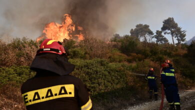 Δύο-συλλήψεις-για-εμπρησμό-σε-δάσος-στην-περιοχή-Σέσι-–-Ζερβέσια-Ωρωπού