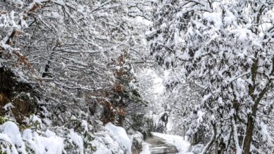 Καιρός:-Ο-Κλέαρχος-Μαρουσάκης-«βλέπει»-Τσικνοπέμπτη-αλά-2004-με-χιόνια-και-τσουχτερό-κρύο