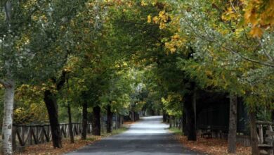 Βυτίνα:-Ρομαντική-απόδραση-στον-«δρόμο-της-αγάπης»