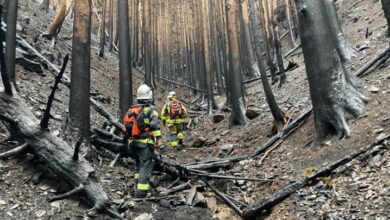 Υπό-έλεγχο-τέθηκε-η-χειρότερη-δασική-πυρκαγιά-των-τελευταίων-50-ετών-στην-Ιαπωνία