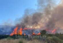 Φωτιά-σε-δασική-έκταση-στα-Καμένα-Βούρλα-–-Επιχειρούν-και-εναέρια-μέσα