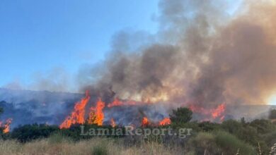 Φωτιά-σε-δασική-έκταση-στα-Καμένα-Βούρλα-–-Επιχειρούν-και-εναέρια-μέσα