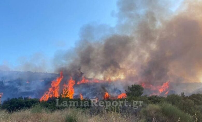 Φωτιά-σε-δασική-έκταση-στα-Καμένα-Βούρλα-–-Επιχειρούν-και-εναέρια-μέσα