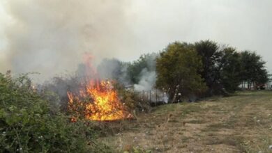 Σύλληψη-και-πρόστιμο-1.185-ευρώ-σε-Τρικαλινό-για-φωτιά-σε-οικόπεδο