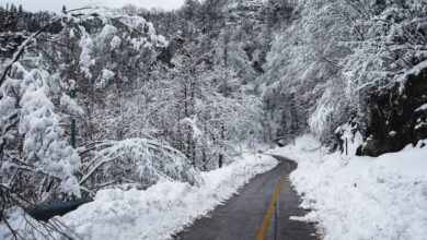 Καιρός:-«Ουκρανικός-χιονιάς-για-90-ώρες-θα-ρίξει-τη-θερμοκρασία-20-βαθμούς»-–-Η-ανάρτηση-Τσατραφύλλια