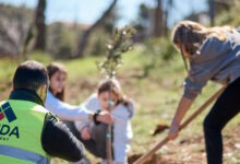 Η-lamda-development-δίπλα-στους-κατοίκους-της-Πεντέλης-μετά-την-πυρκαγιά-του-Αυγούστου