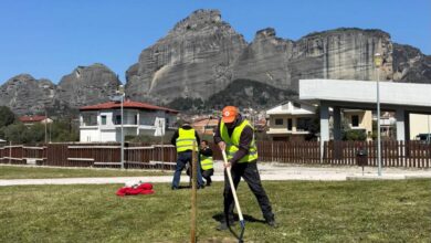 Πιο-πράσινο-το-πάρκο-“Σινάνη”-με-τη-φύτευση-220-νέων-δένδρων