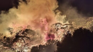 Φωτιά-στην-Κερατέα:-Ήχησε-το-112-για-εκκένωση-της-Παλιοκαμάριζας-προς-Λαύριο-–-Που-έχει-διακοπεί-η-κυκλοφορία