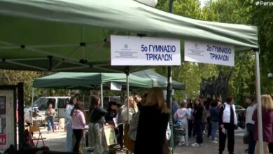 o-Θε-ΤΑΛΩΣ-συναντά-τα-e-trikala-–-mια-μαθητική-γιορτή-ψηφιακών-δεξιοτήτων