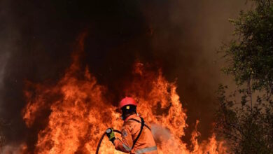 Φωτιά-στη-Σητεία-–-Κινδύνεψαν-σπίτια,-άμεση-επέμβαση-από-την-πυροσβεστική