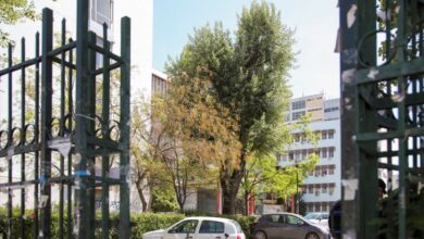 Κωστής-Χατζηδάκης-για-ανομία-στα-πανεπιστήμια:-Διαγραφή-φοιτητών-που-συμμετέχουν-σε-επεισόδια,-απόδοση-ευθυνών-και-στους-πρυτάνεις-που-δεν-εφαρμόζουν-τον-νόμο