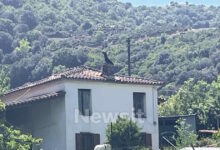Αιτωλοακαρνανία:-Τη-Δευτέρα-απολογείται-ο-67χρονος-που-σκότωσε-τον-95χρονο-πατέρα-του –-Ισχυρίστηκε-ότι-δεν-τον-άφηνε-να-κοιμηθεί